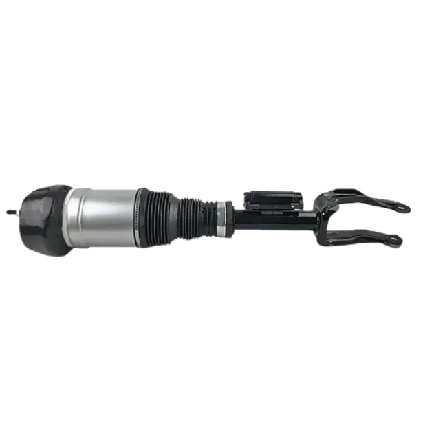 AIR SPRING STRUT